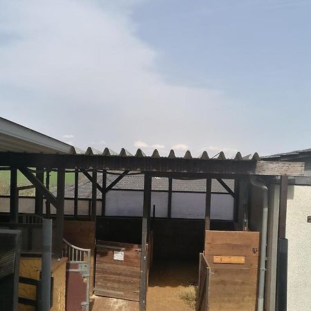 Schoenes Appartement " Die Ponybude" Auf Unserem Reiterhof Birkenbeul ภายนอก รูปภาพ
