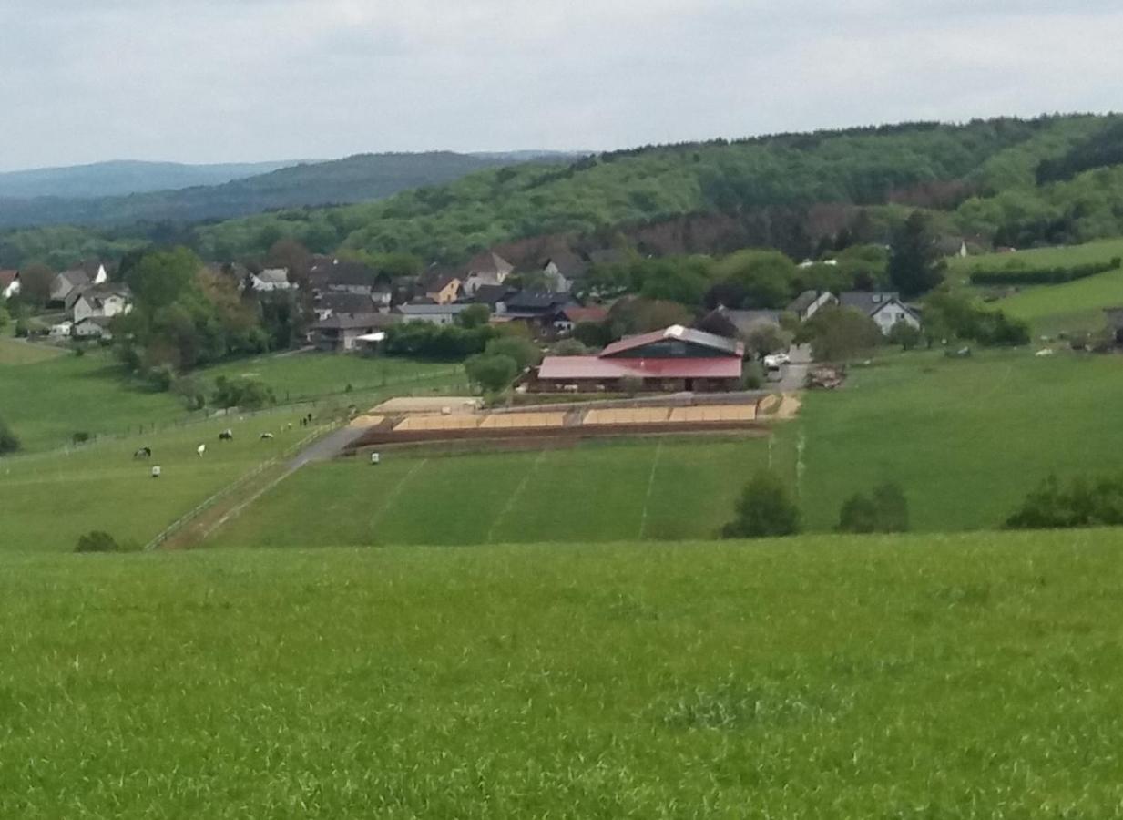 Schoenes Appartement " Die Ponybude" Auf Unserem Reiterhof Birkenbeul ภายนอก รูปภาพ