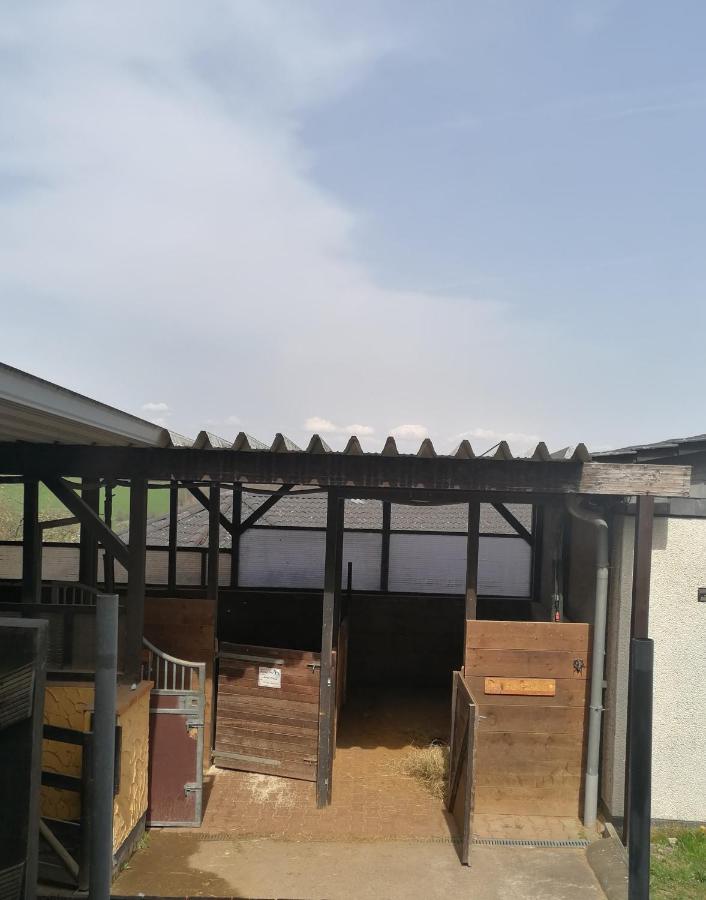 Schoenes Appartement " Die Ponybude" Auf Unserem Reiterhof Birkenbeul ภายนอก รูปภาพ